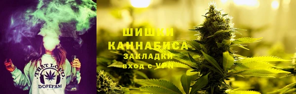 дмт Нягань