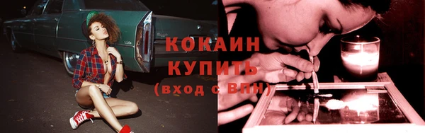 дмт Нягань
