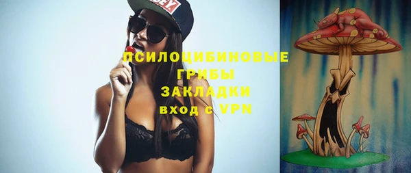 мяу мяу мука Няндома