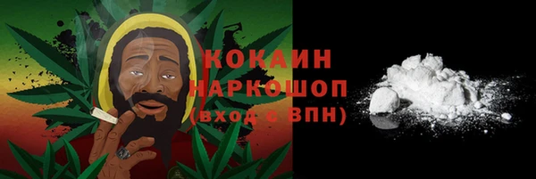 мяу мяу мука Няндома