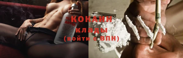 дмт Нягань
