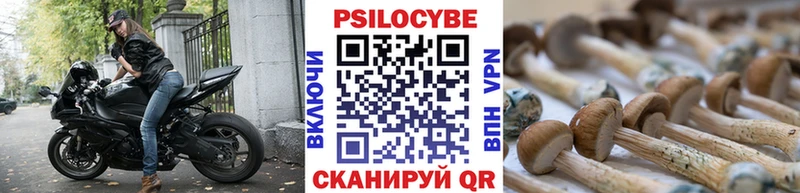 Галлюциногенные грибы Cubensis  хочу   Тетюши 